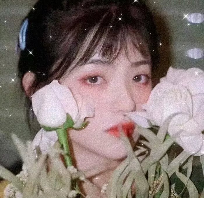 赛车情仇